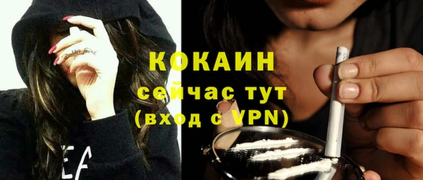 шишки Верея