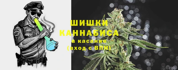 трава Бородино