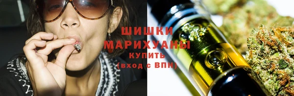 шишки Верея