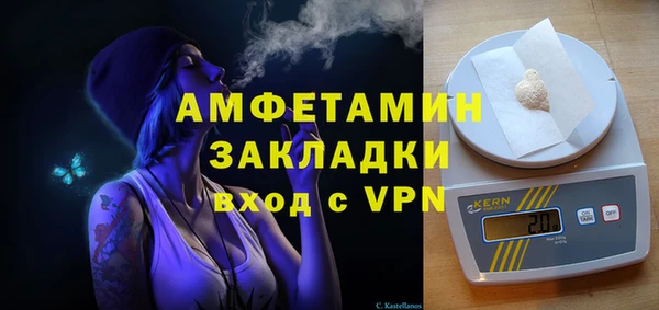 шишки Верея