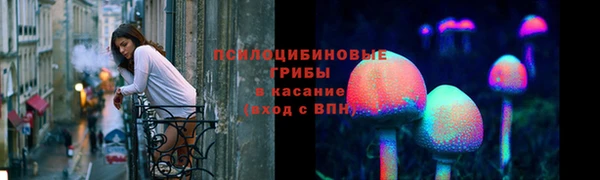трава Бородино