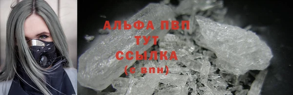 трава Бородино