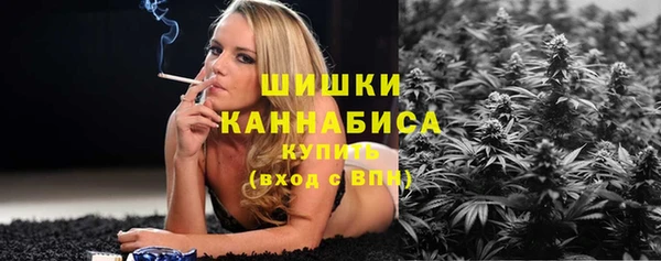 трава Бородино