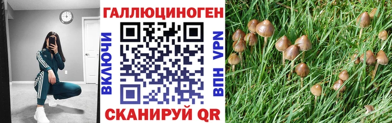 darknet какой сайт  Весьегонск  Псилоцибиновые грибы GOLDEN TEACHER 