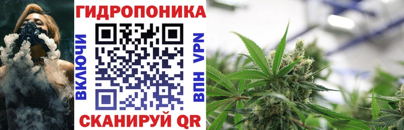 мориарти телеграм  Весьегонск  Марихуана Amnesia 